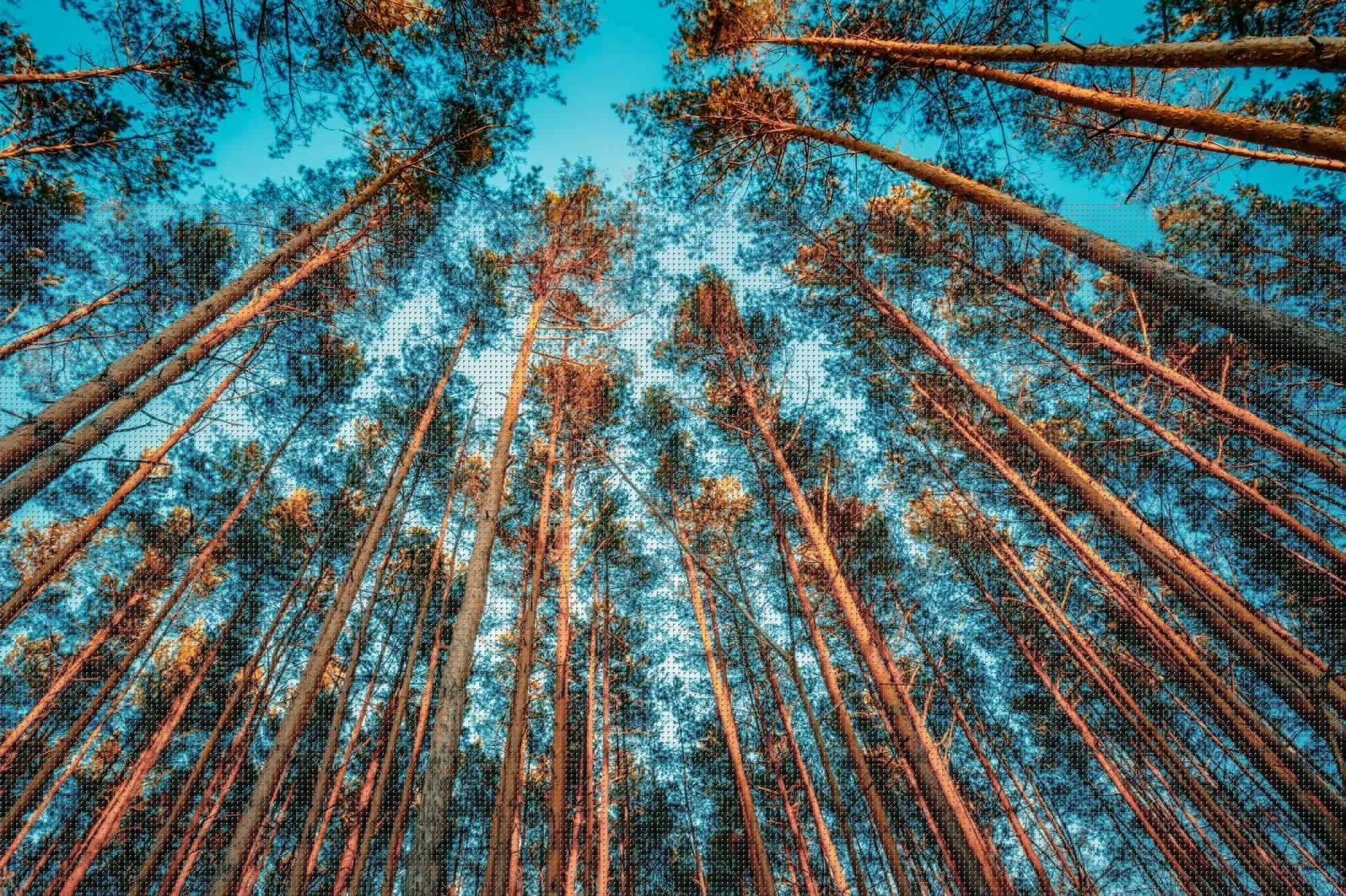 Natuur