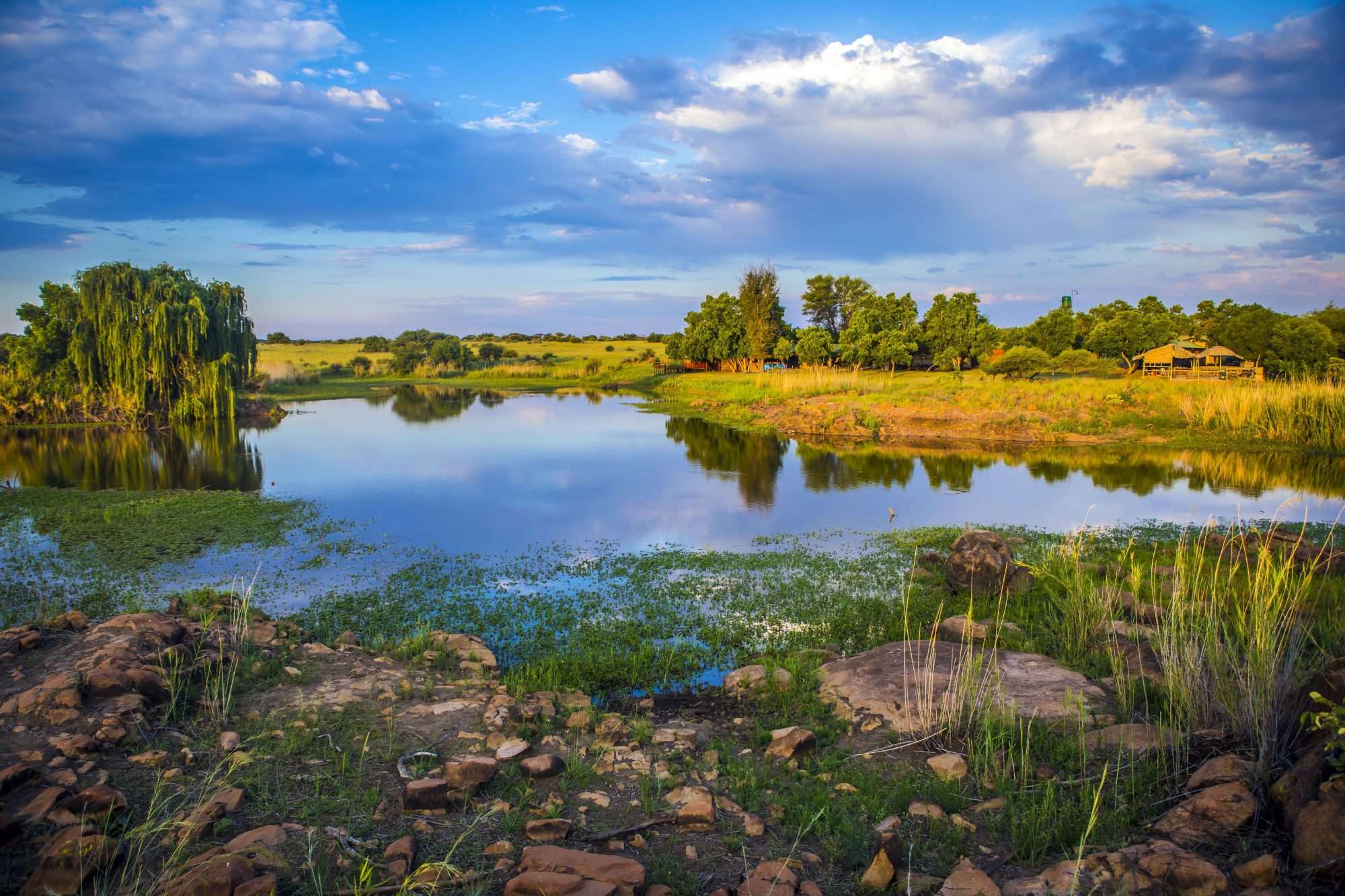 Fotobehang Afrikaans Rivierlandschap met Reflectie - Afbeelding 2