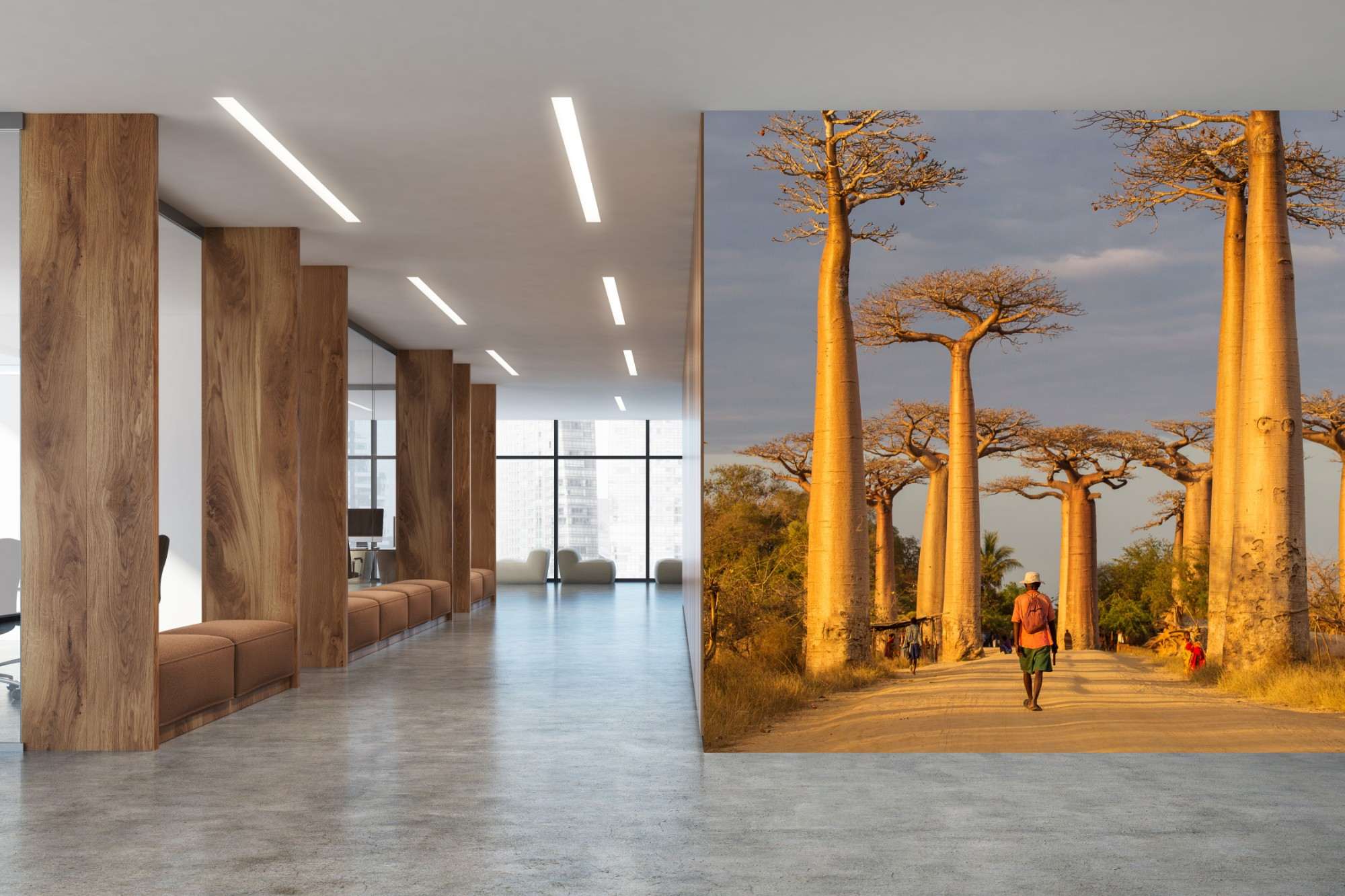 Fotobehang Baobabbomen langs Zandweg