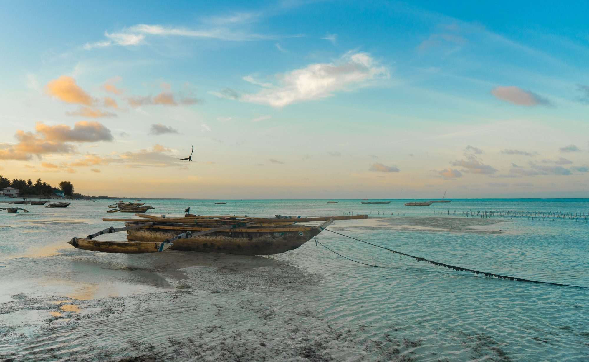 Fotobehang Houten Boot aan de Afrikaanse Kust - Afbeelding 2