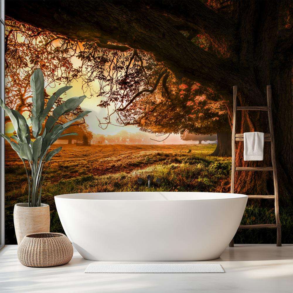 Fotobehang Oude Boom bij Gouden Zonsondergang