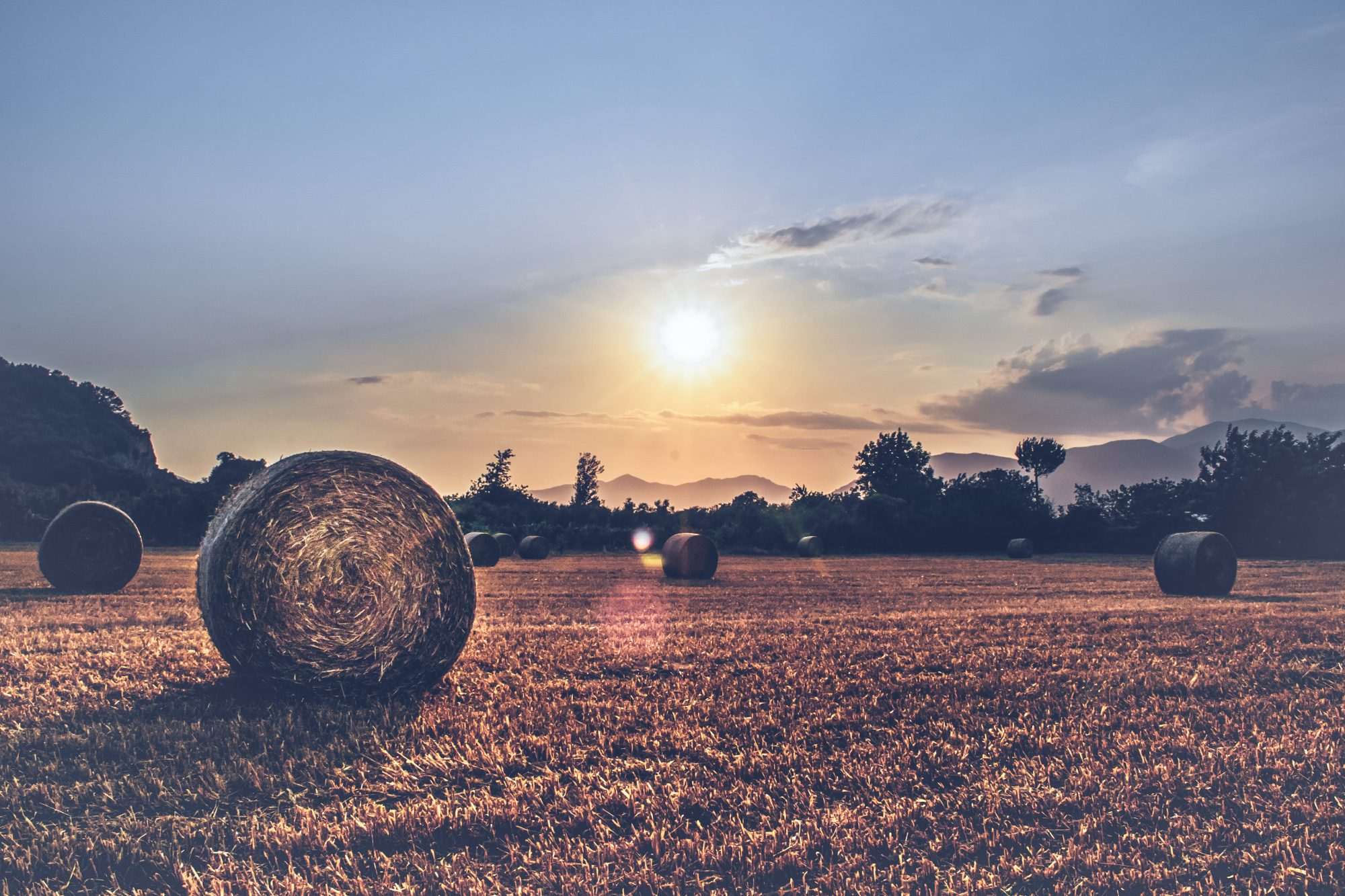 Fotobehang Landelijk Veld met Hooibaal en Zomerlucht - Afbeelding 2