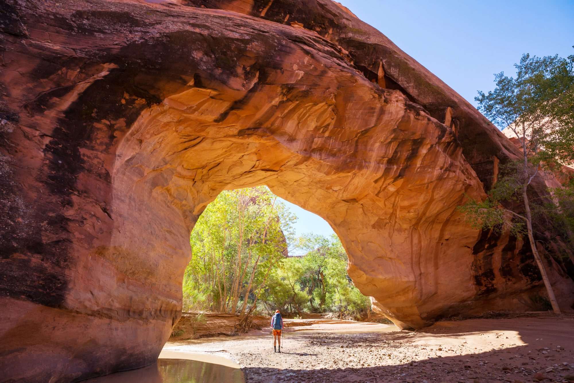 Natuurlijke Rotsboog in Canyonlandschap - Afbeelding 2