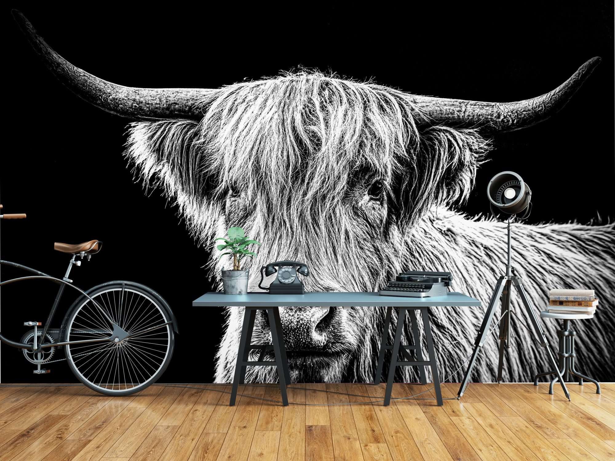 Schotsehooglanders