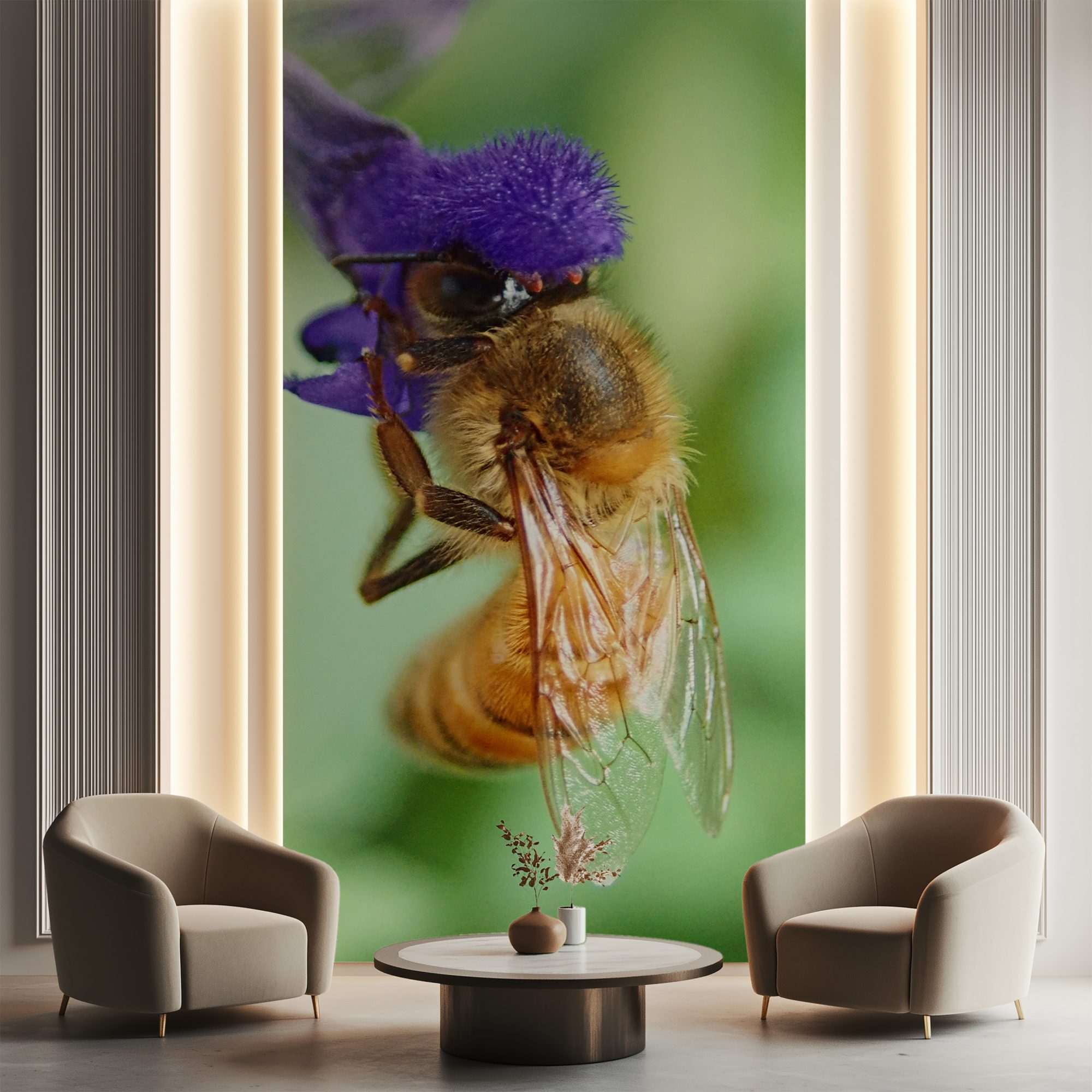 Fotobehang Bij op Paarse Salie Bloem