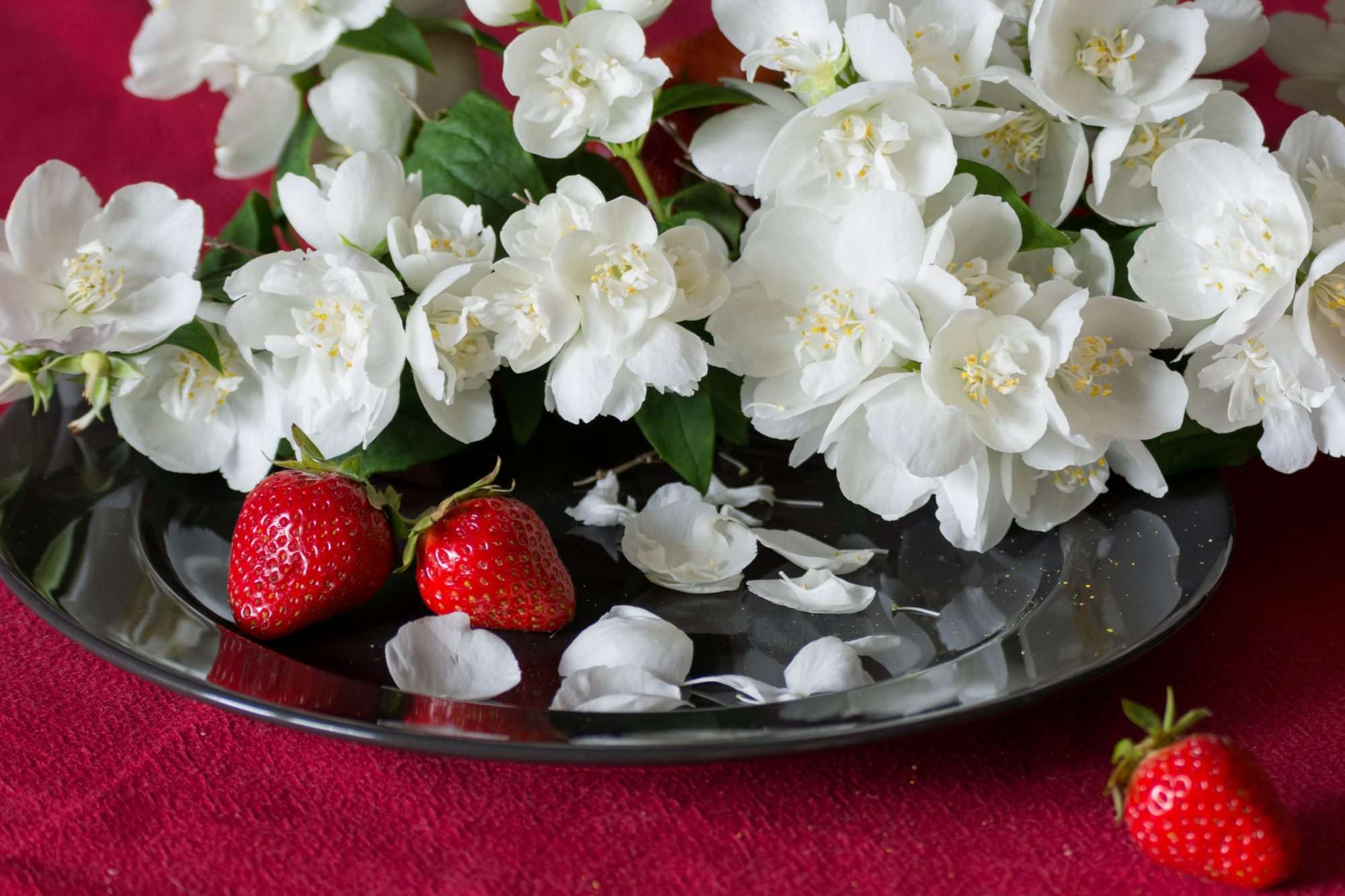 Fotobehang Jasmijnbloemen met Aardbeien - Afbeelding 2