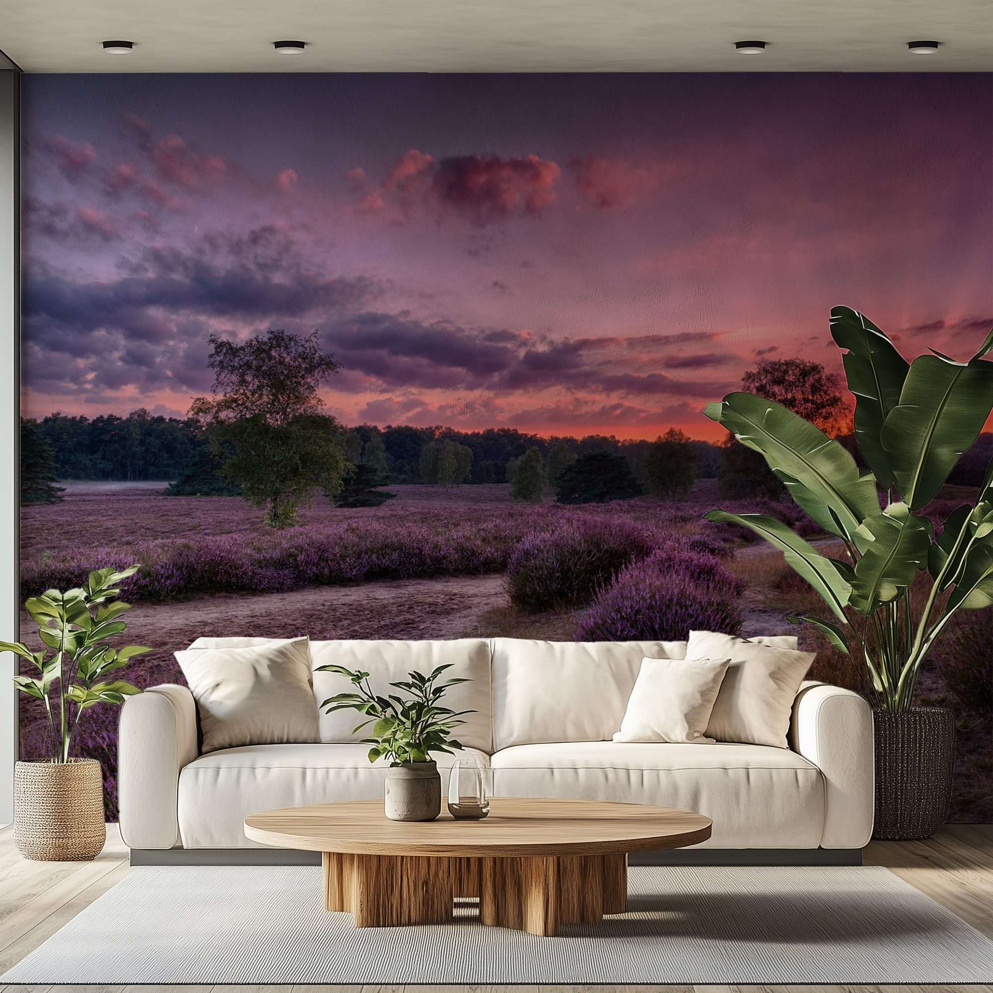 Fotobehang Lavendelveld bij Avondlucht