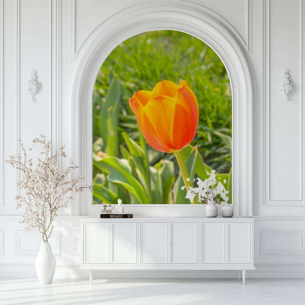 Fotobehang Oranje Tulp in Lenteveld