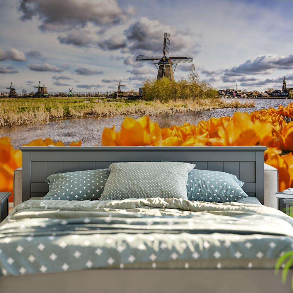 Fotobehang Oranje Tulpenveld met Hollandse Molen