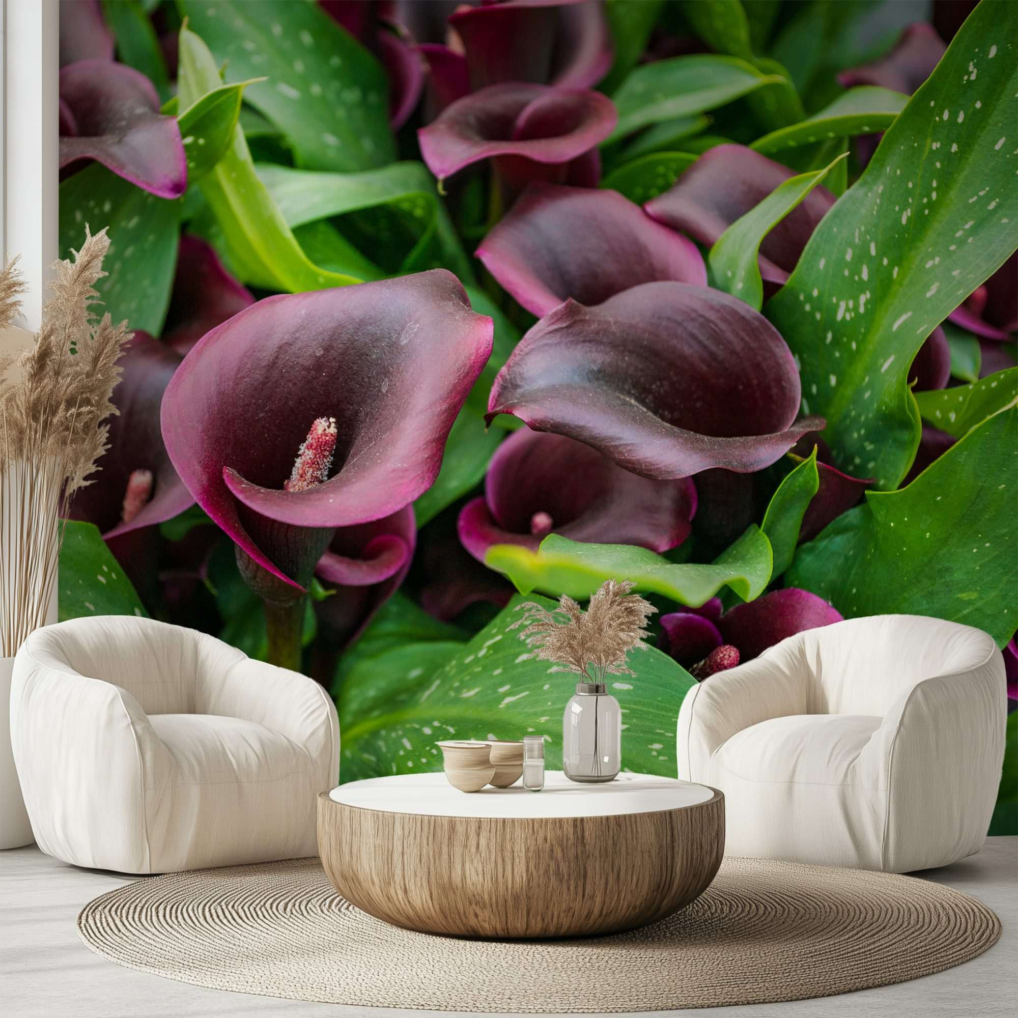 Fotobehang Paarse Calla Lelies in Tuinbed