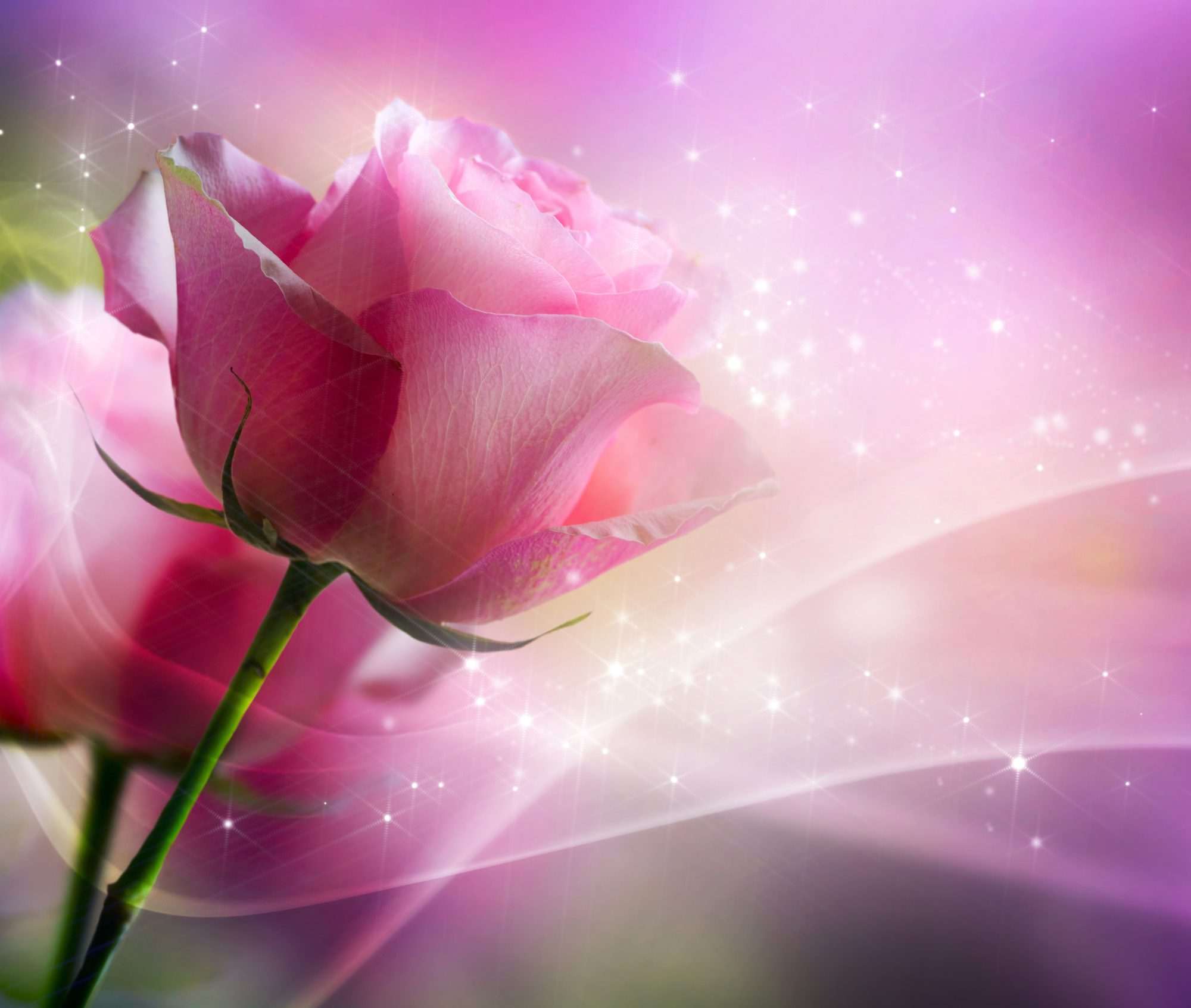 Fotobehang Roze Roos met Lichtgolven - Afbeelding 2