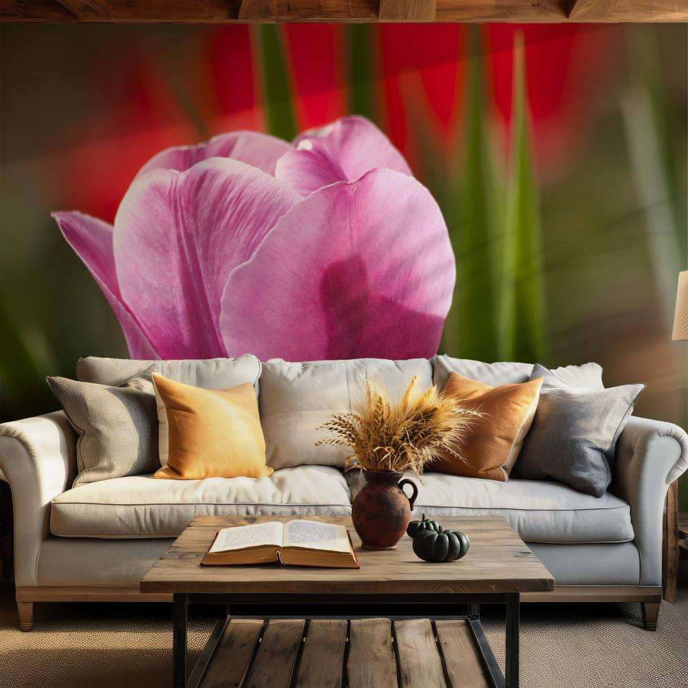 Fotobehang Roze Tulp Close-up
