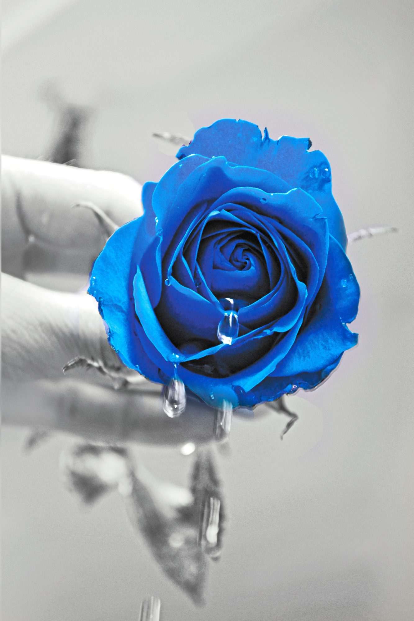 Fotobehang Tijdloze Blauwe Perfectie - Afbeelding 2