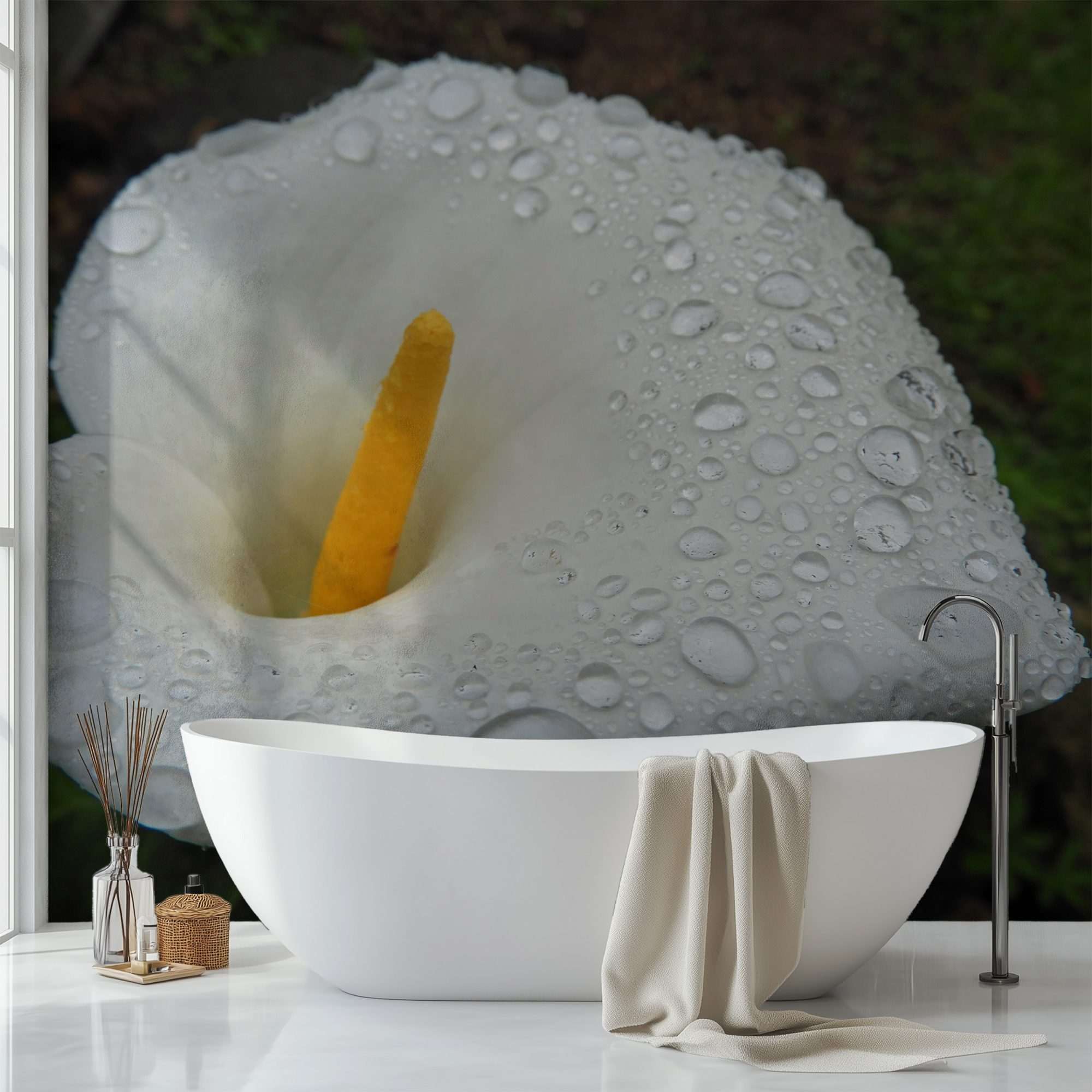 Fotobehang Witte Calla Lelie met Dauwdruppels