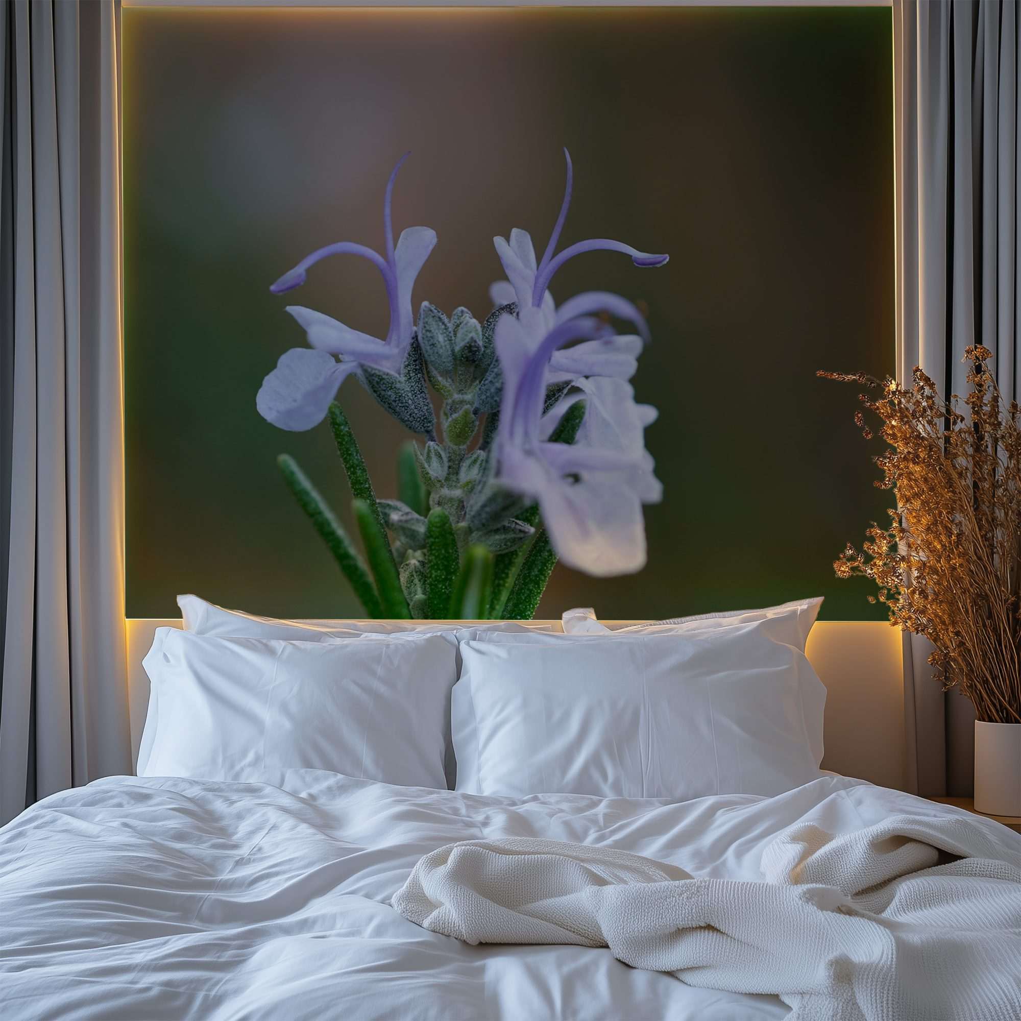 Fotobehang Witte Salie Bloem Close-up