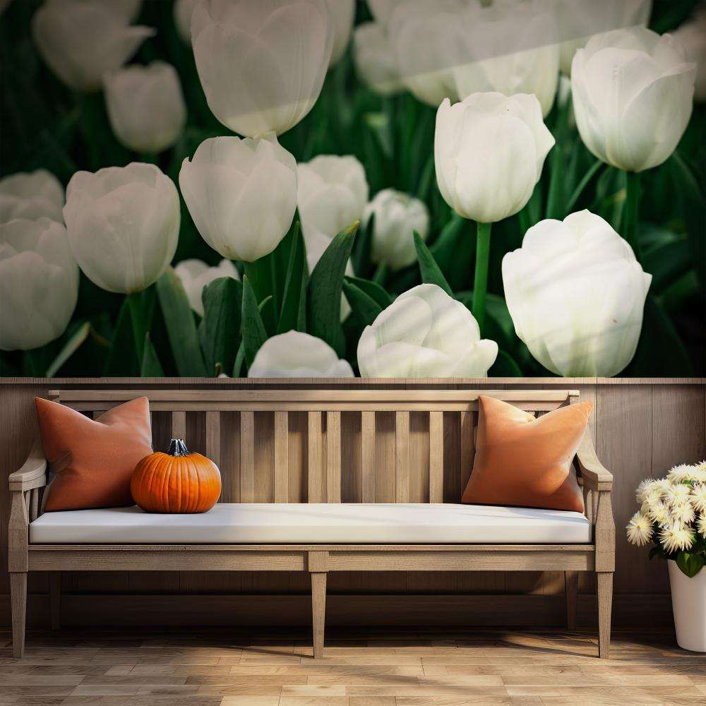 Fotobehang Witte Tulpenveld