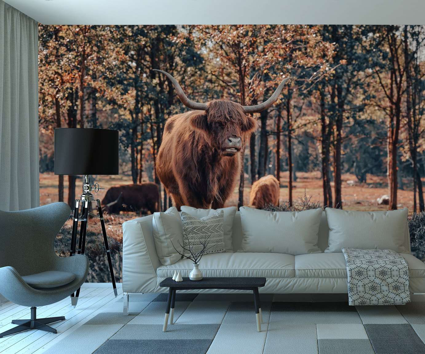 Fotobehang Schotse Hooglanders in Herfstbos