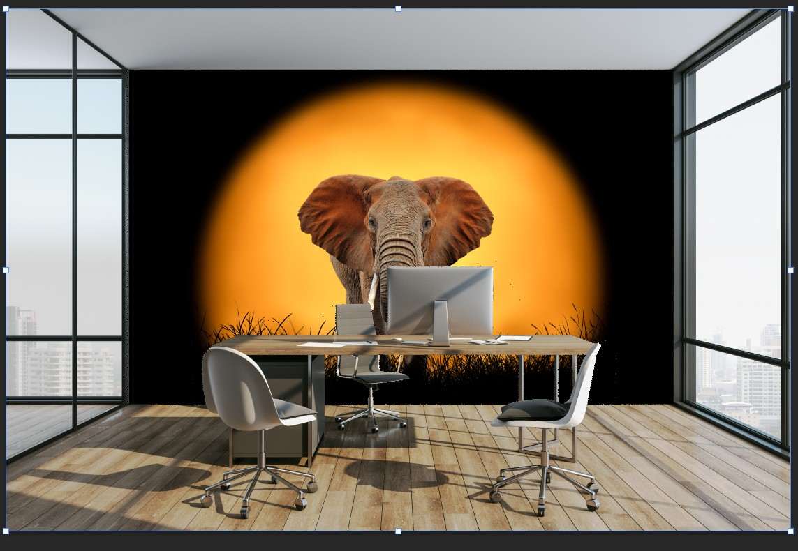 Fotobehang Olifant Zonsondergang Silhouet