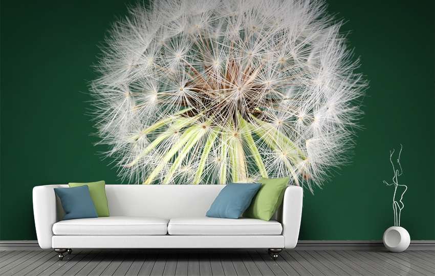 Fotobehang Paardenbloem met Dauw Macro Natuurfoto
