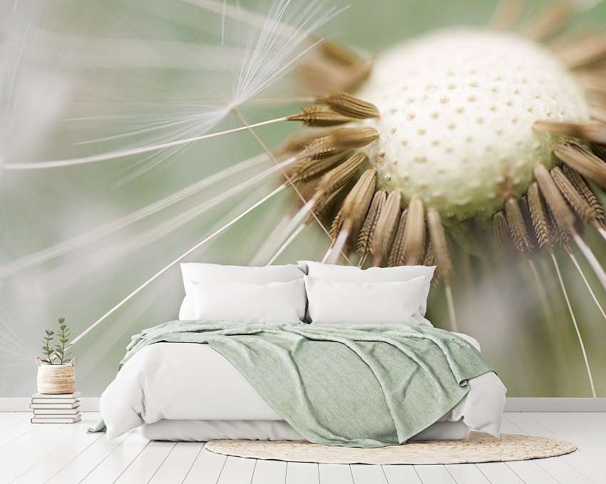 Paardenbloemen